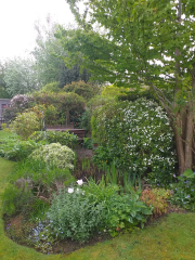 Fordingbridge Open Gardens