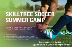 3rd Annual SkillTree Soccer Camp