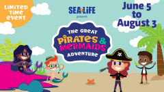 The Great Pirates and Mermaids Adventure at SEA LIFE Arizona