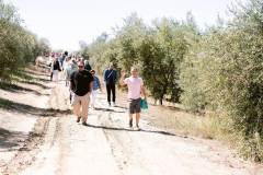 Orchard Hike with Farmer Brooke