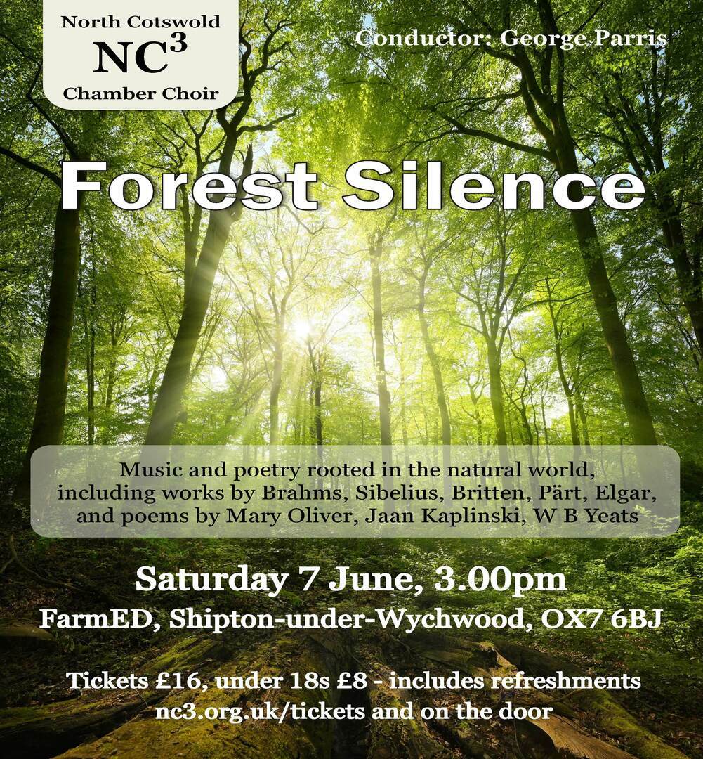 Forest Silence, Chipping Norton, England, United Kingdom