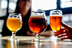 Elegance of Beer