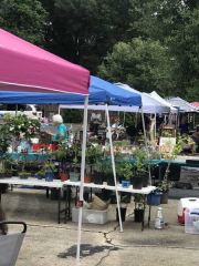 Summer Fun Flea Market - Arts and Crafts Fair (8717 Fort Hunt Road, Alexandria)
