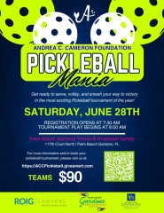 Andrea's Pickleball Mania