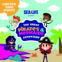 The Great Pirates and Mermaids Adventure