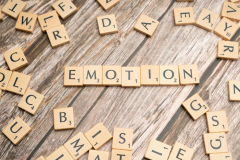 Emotional Intelligence EQ-i Certification Virtual Training