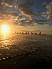 Learn to Row