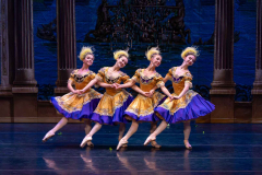 The Sleeping Beauty: International Ballet Stars in Hagerstown, MD!