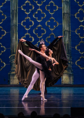Swan Lake: International Ballet Stars in Indianapolis, IN!