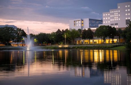 Mayo Clinic Updates in Inflammatory Bowel Disease 2025, Jacksonville, Florida, United States