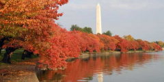 (CVHH) International Convention of Spanish-Speaking Vascular Surgeons/Oct 8-11, 2025/Washington D.C.