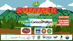 Father's Day Summer Family Fun Day and Car Show