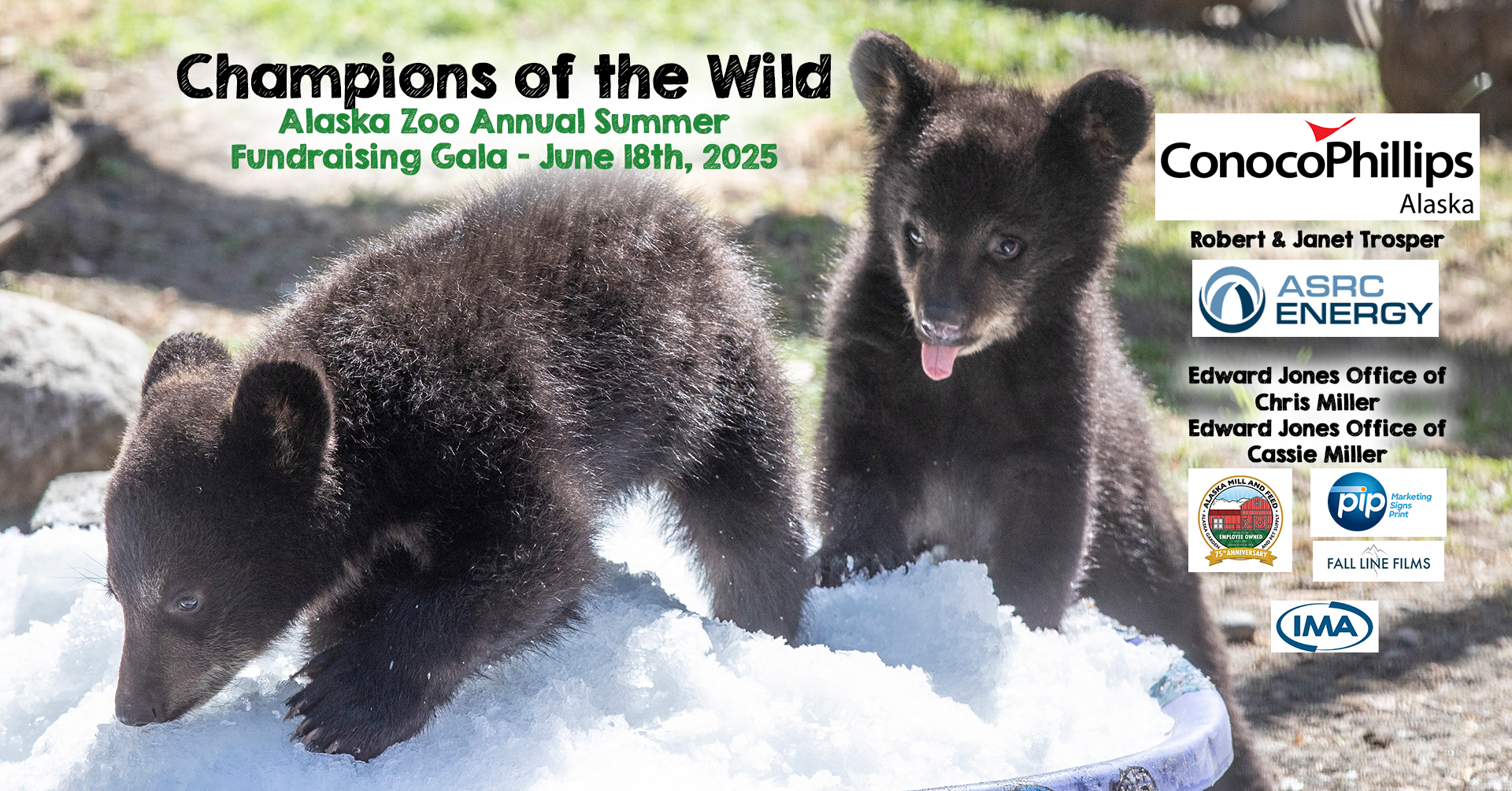Champions of the Wild Alaska Zoo Gala, Anchorage, Alaska, United States