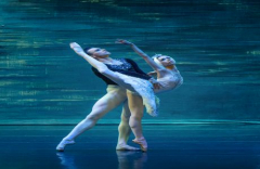 Swan Lake: International Ballet Stars in Buffalo, NY!