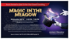 Magic in the Meadow