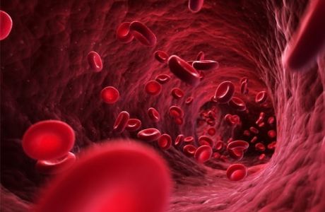 9th Annual Hematology and Oncology for NPs and PAs, Rochester, Minnesota, United States