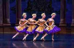 The Sleeping Beauty: International Ballet Stars in Columbia, SC!