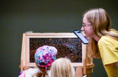 Pollinator Fest at Reiman Gardens, June 21, 2025