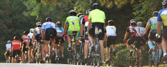 GA400 Century Tour 25, 33, 64 and 100 mile options for Emory