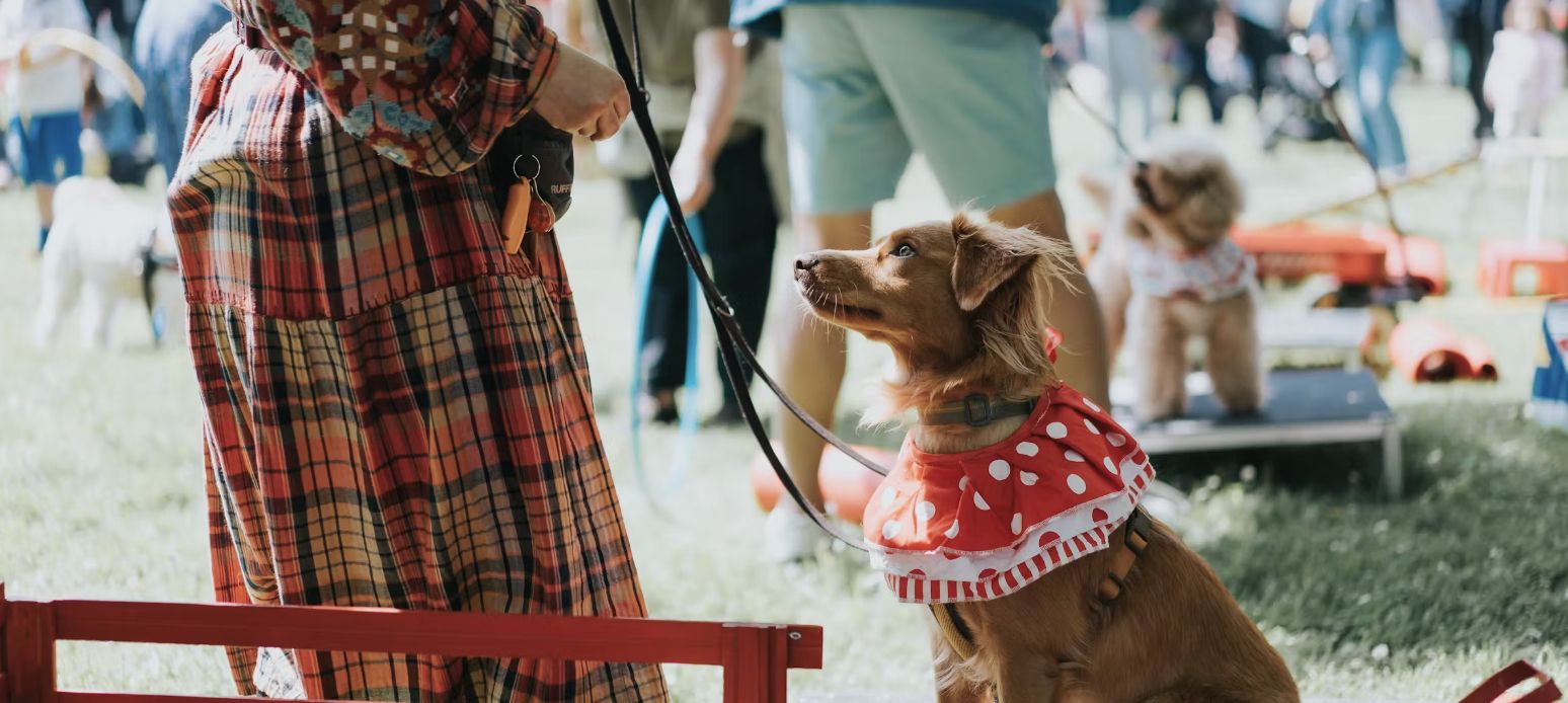 Brandeston Village Fete and Dog Show, Woodbridge, England, United Kingdom