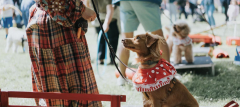 Brandeston Village Fete and Dog Show