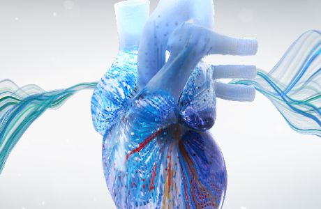 Webinar: Electrophysiology Board Review Insights: Ventricular Arrhythmias Virtual Town Hall, Online Event