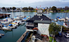 Comedy Oakland at Quinn's Lighthouse Fri Jul 11 8:30pm