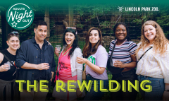 Adults Night Out: The Rewilding at Lincoln Park Zoo