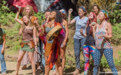 Shamanic Journeying Fundamentals ~ Online Video Course + Private or Semiprivate Training