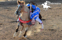 Westernaires Wild West Show in Kiowa, CO