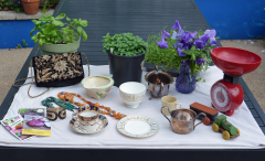 Spectacular Barford Brocante supports wildlife