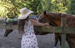 Kitchensink Rescue farm and Sanctuary Charity Gala