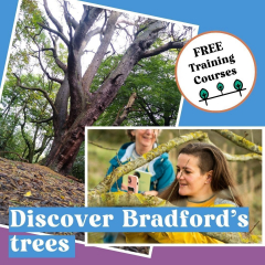 Discovering Woodland - free half day course