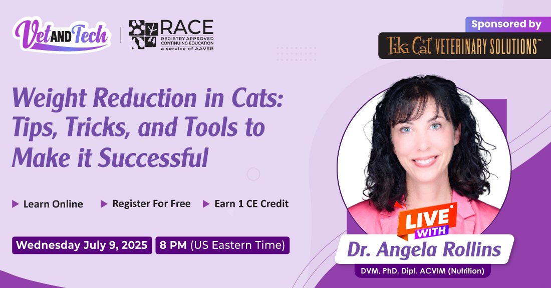 Weight Reduction in Cats: Tips, Tricks, and Tools to Make it Successful, Online Event