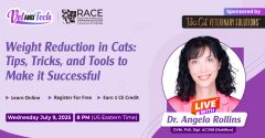 Weight Reduction in Cats: Tips, Tricks, and Tools to Make it Successful