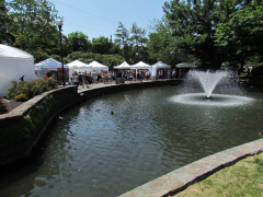 Lititz Outdoor Fine Art Show