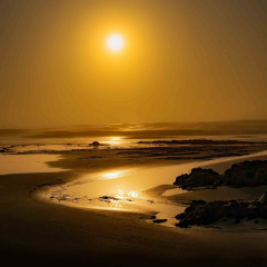 The Old Man and the Dawg Photography team is the featured artist for the July. Come see our work!