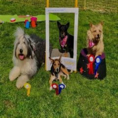 The Kent We love Dogs