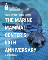 The Marine Mammal Center's 50th Anniversary in Sebastopol