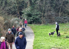 Guided Healthy Heritage Walk