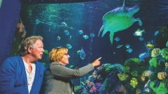 Teacher Appreciation Month Returns to SEA LIFE!