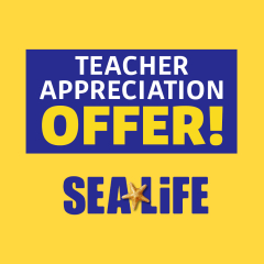 Teacher Appreciation Month Returns to SEA LIFE! - 01 Aug 2025