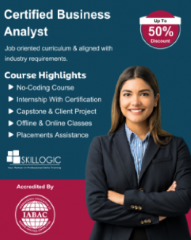 Online Business Analyst course in Noida