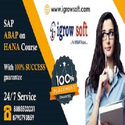 SAP ABAP on HANA| SAP S4 HANA Online Training in Ameerpet | Igrowsoft ...